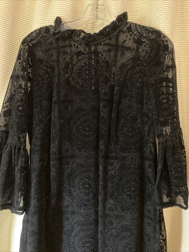 Calvin Klein Burnout Velvet Lace Bell-Sleeve Dress Whimsigoth Witchy Sz 10 P - 第 6/8 張圖片
