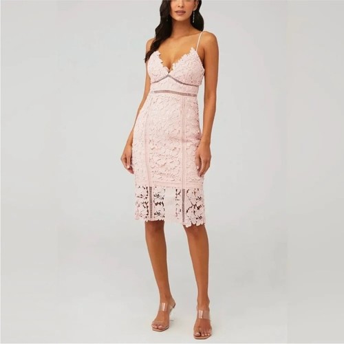 Bardot Botanica Lace Midi Blush  Dress