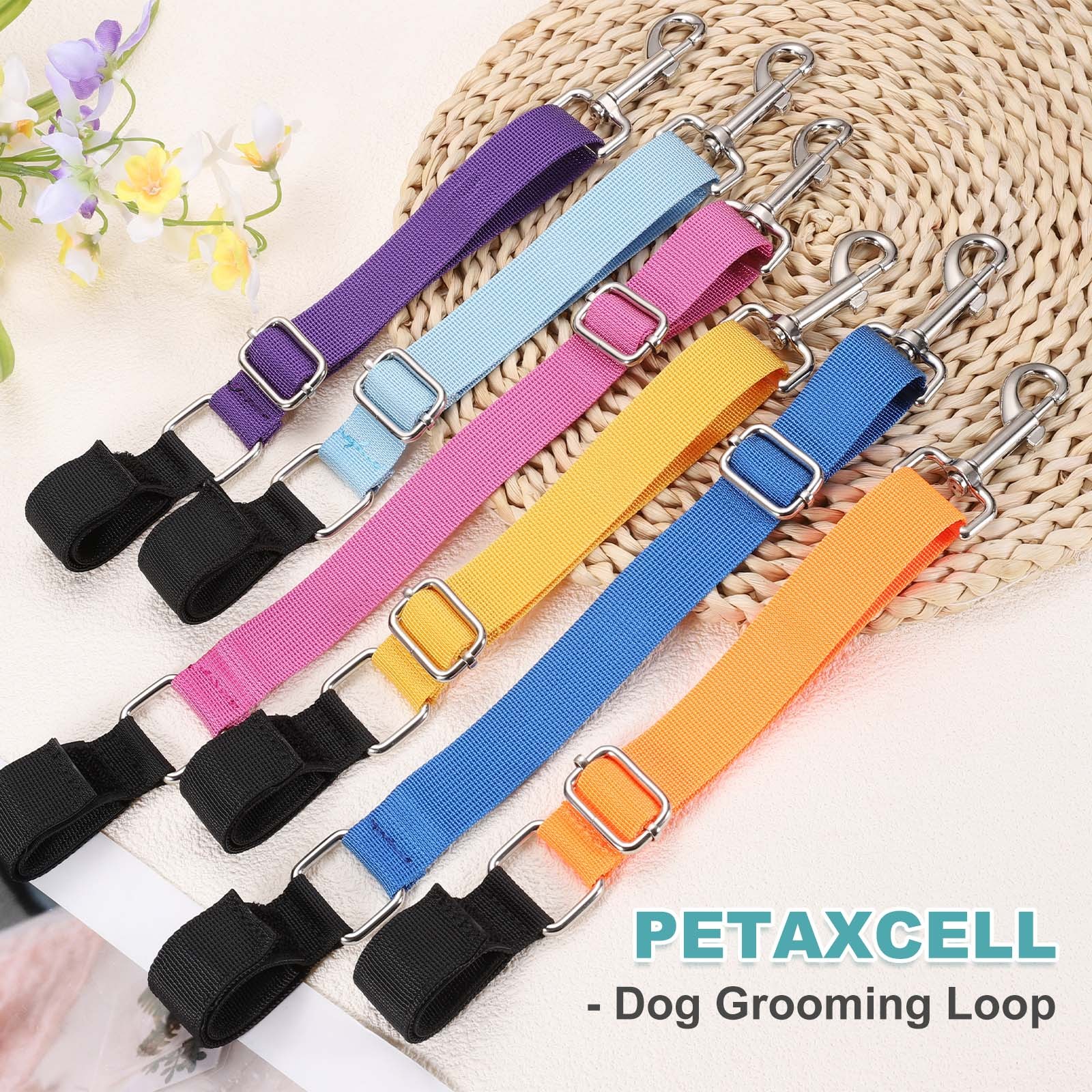 Imbracatura toelettatura cani 2 pezzi viola/magenta per bagno animali domestici foto 5