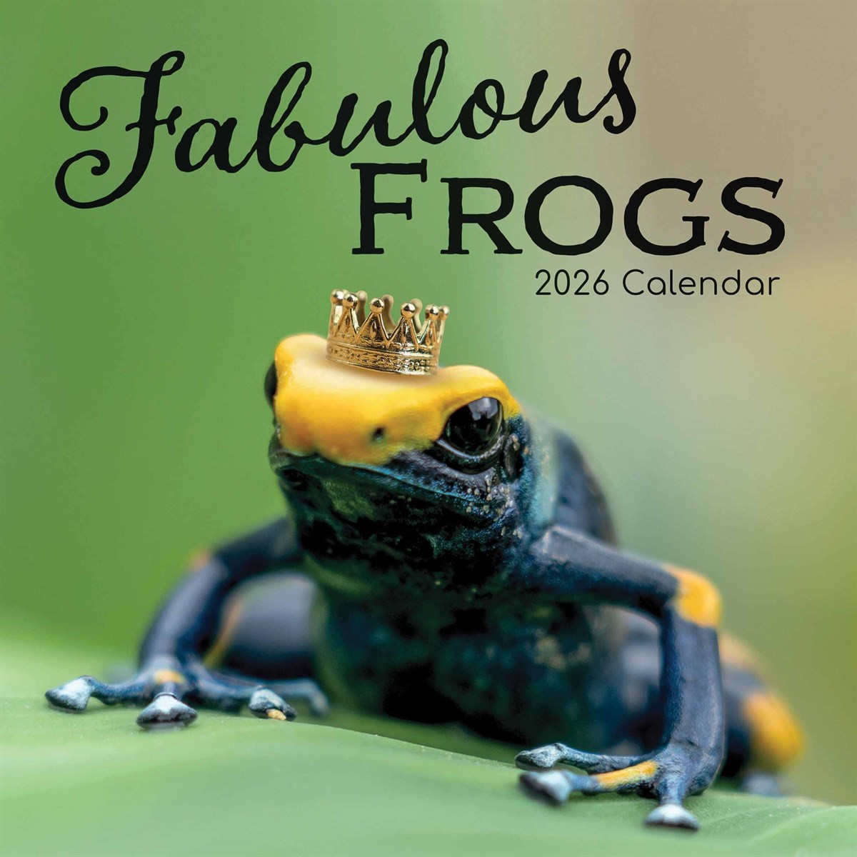 Fabulous Frogs Calendar 2026, Wall Calendars, Month To View, Humour, Gift