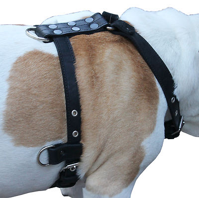 Genuine Leather Dog Harness 25