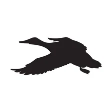 Duck Mallard Flying - Vinyl Decal Sticker - Multiple Color & Sizes - ebn1313