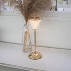 Bild 5 von 6