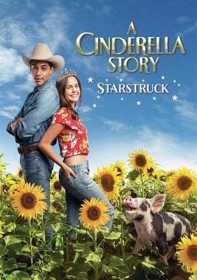 A Cinderella Story Starstruck DVD  NEW