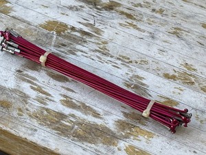 Vintage Red BMX SPOKES