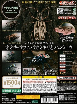 Capsule toy Complete set Ikimono Encyclopedia Longhorn beetle