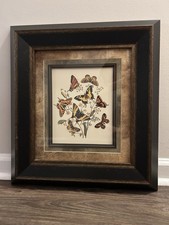 Ethan Allen “Butterfly Gather” Print Wall Art 19.5x20.5 (Professionally Framed)