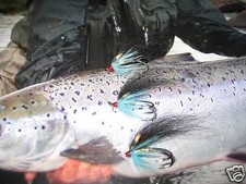 3 V Fly Size 7  Ultimate Hofsa Royal Blue Stoat Salar Double Salmon Flies