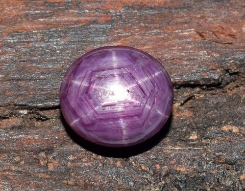 Original Natural Star Red Ruby Six Rays Oval 8 Ct+ Cabochon Oval Gemstone. - Picture 5 of 8