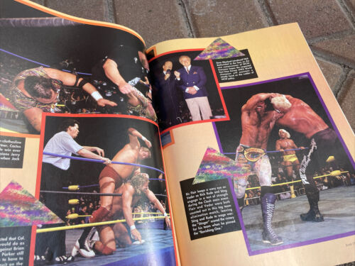 2 WCW Magazin MAI & JUNI 1994 mit CACTUS JACK Ric Flair STING Rick Rude VADER + - Bild 11 von 16