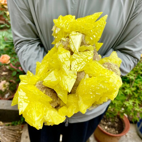 5.82LB Minerals ** LARGE NATIVE SULPHUR OnMATRIX Sicily- FREE - Picture 8 of 10