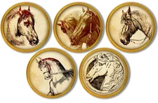 Vintage Horse Cabinet Knobs - Rustic Western Equestrian Art Drawer Pulls 5pc Set