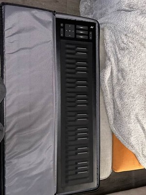 ROLI Seaboard RISE 49 MPE MIDI Controller Soft-Touch Keys w/ Box VERY GOOD