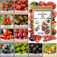 10 Heirloom Tomato Seed Varieties Packet - Non-GMO, Open Pollinated Seeds for Pl