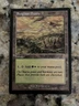 MTG Sungrass Prairie Odyssey Rare 1993-2001 Wizards Of The Coast 328/350