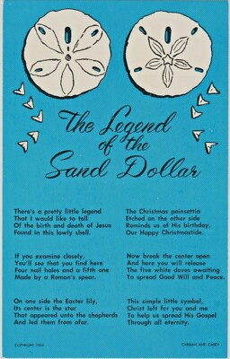 The Legend of the "Sand Dollar" - Sea-Shells of Florida 1954  Postcard | eBay