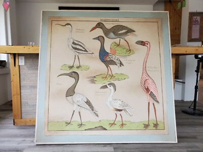 Vintage Painting on Canvas | Sümpfvoegell | Lorenz Oken Flamingo, Bird Egg Print