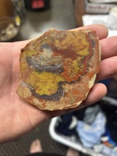 Maybe AL Or TN Paint Agate Slab - Agate with Butterscotch and Red. Gorgeous