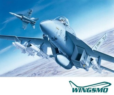 Italeri Grumman F/A-18E Super Hornet 0083