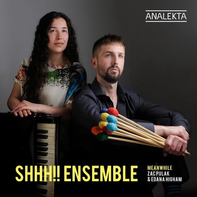AN29139 Shhh!! Ensemble Meanwhile CD AN29139 NEW