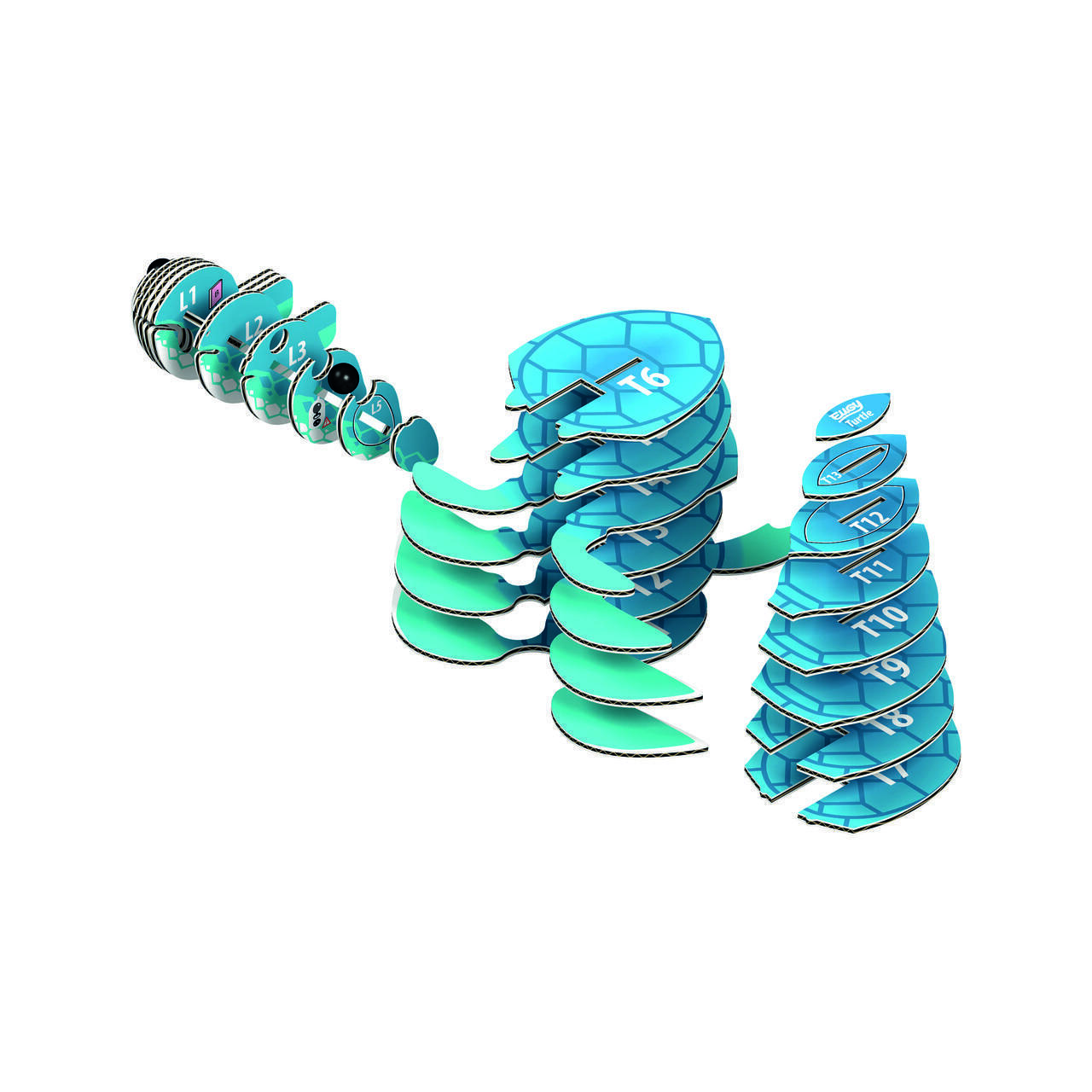 Thumbnail - Eugy Eugy - 3d Bastelset Schildkröte 9421035150361