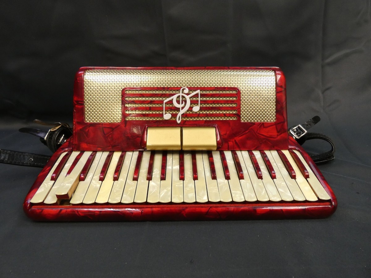 Tourini Italian Made 41/120 Piano Accordion with Case | eBay
