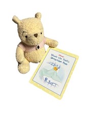 Vtg Walt Disney Company Classic Winnie The Pooh Plush  1999 Hard Cover Book