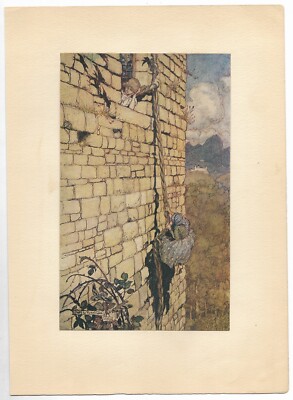1909 ARTHUR RACKHAM Rapunzel ANTIQUE COLOR PRINT Grimms FAIRY