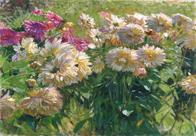 Sunlit Dahlia Garden Poster Pink Blossoms Wandbild - 16x12/20x16/24x18/36x24