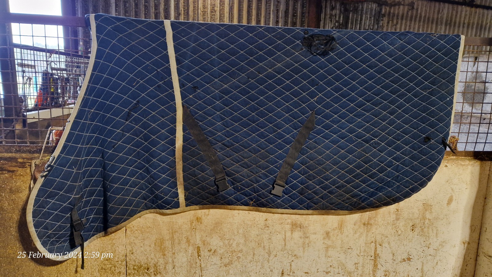 6 horse Rugs Joblot Includes Postage (FALPRO/COLIN COOK/RAMBO/SHIRES