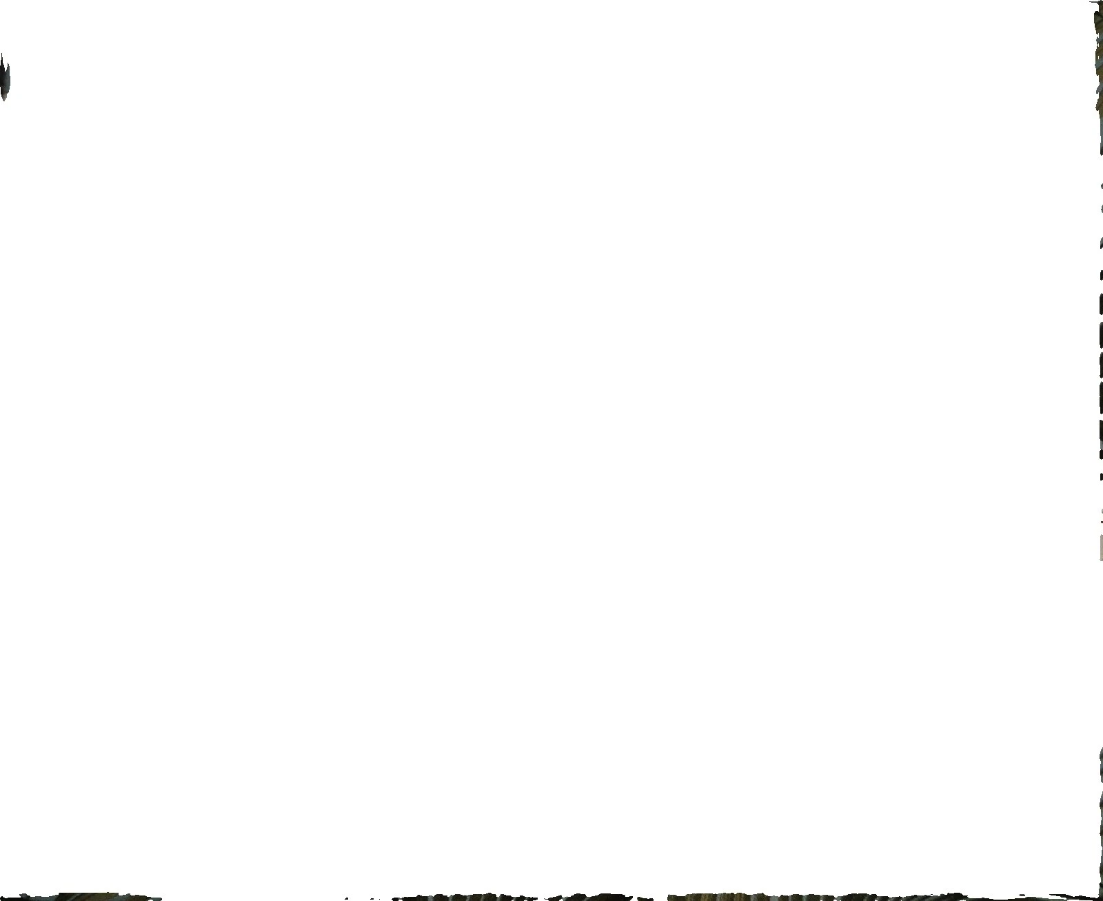 Restos de tela de corteza