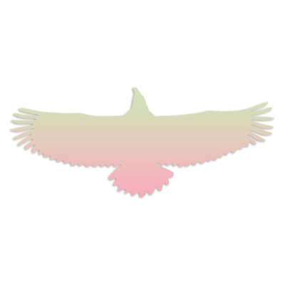 Hawk Eagle Raptor - Vinyl Decal Sticker - Multiple Patterns & Sizes - ebn6075