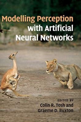 Modelling Perception with Artificial Neural Networks (Hardcover)