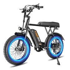 Tamobyke T63 750W 36V/13Ah 20" Fat Tire Commute Electric Bike for Adults