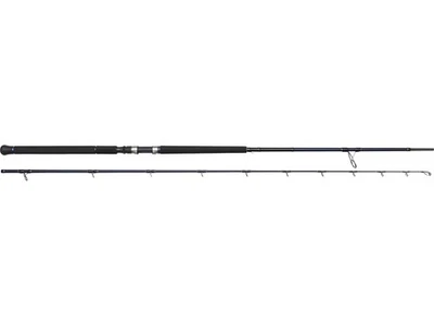 Westin W2 Rockshore Apex Predator 9'8" / 2,95m MH 30-100g Spinnrute 2SEC - Bild 1 von 4