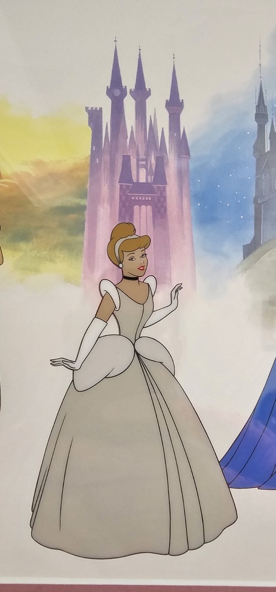 [美品]ディズニー　プリンセス　セル画　Parade of Princess Rare Limited Edition Disney's Parade Of Princesses LE