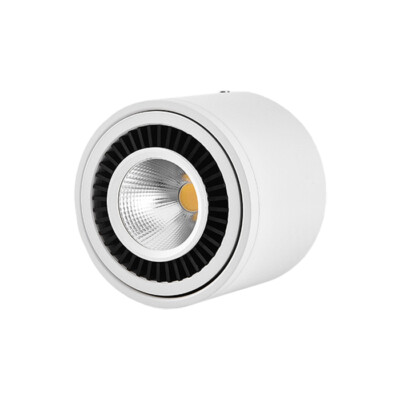 Dimmable/N LED COB Ceiling Light Picture Downlight Fixture Rotatable Lamp Store