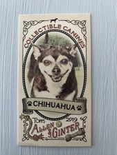 2019 Topps Allen & Ginter Collectible Canines Mini #CC-16 Chihuahua