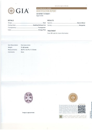 21.68 Cts GIA Certified gem Stunning Oval Natural Morganite FreeShipping - Picture 2 of 6