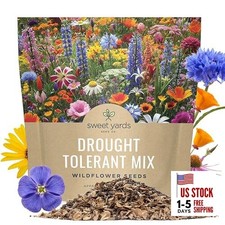 Drought Tolerant Wildflowers Mix – Extra Large Packet – Over 1 Ounce Pouch 344.00 per gallon
