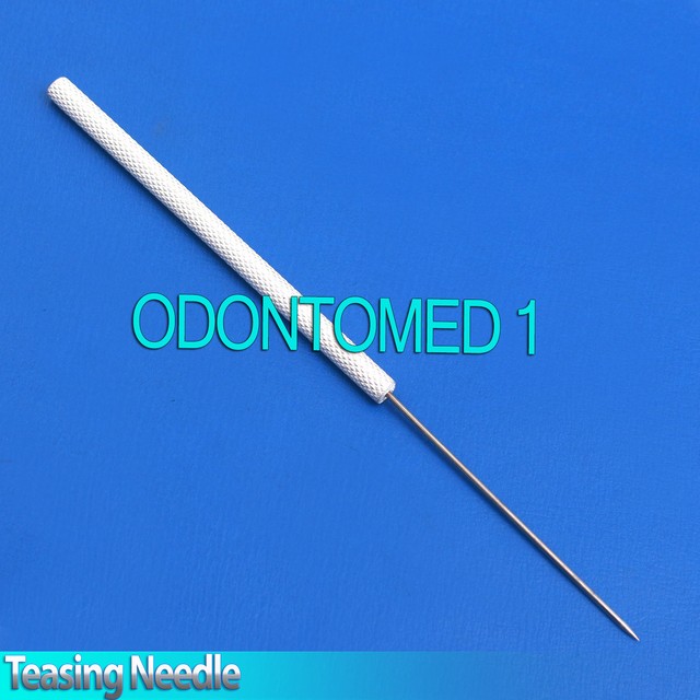 Dissecting Dissection Teasing Needle Straight Silver Handle eBay
