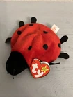 TY BEANIE BABY LUCKY P.V.C. PELLETS VNTG (1995) 4040 PLUSH TOY (BRAND NEW)