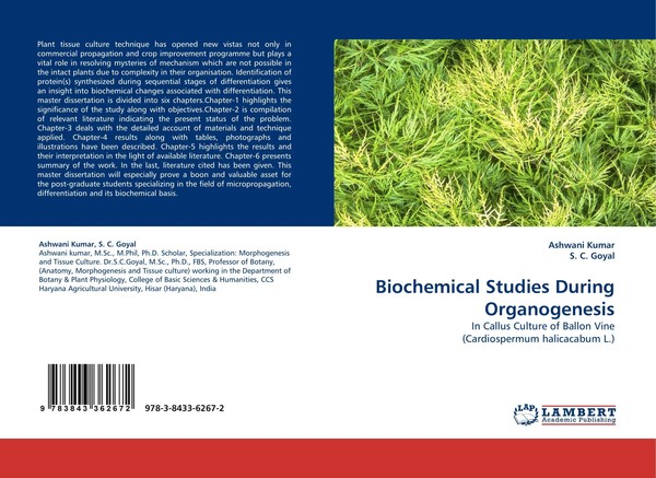 Ashwani Kumar (U. A.) | Biochemical Studies During Organogenesis | Taschenbuch-image