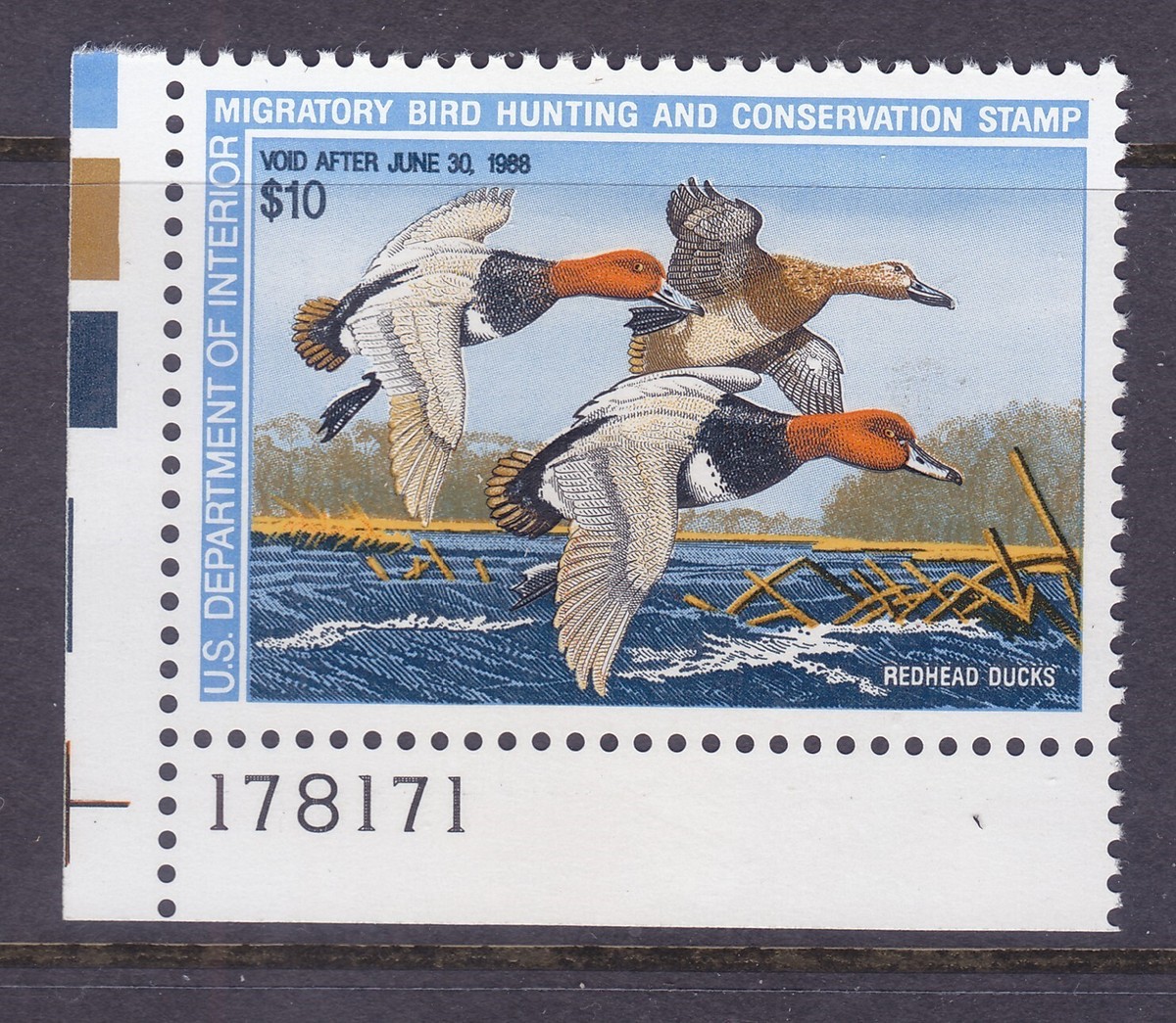 US RW54 MNH 1987 $10 Redhead Ducks Duck Hunting Stamp PNS #178171