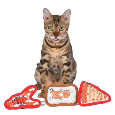TV Show FRIENDS Pizza, Smelly Cat, Lobster Canvas Cat Toy