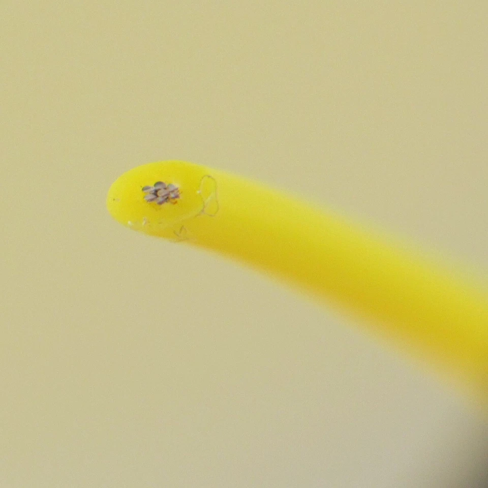 ЛОТ из 1200+ ФУТОВ Teledyne Желтый Серебристый Медный Многожильный 26AWG 6145008219039 - Изображение 3 из 4