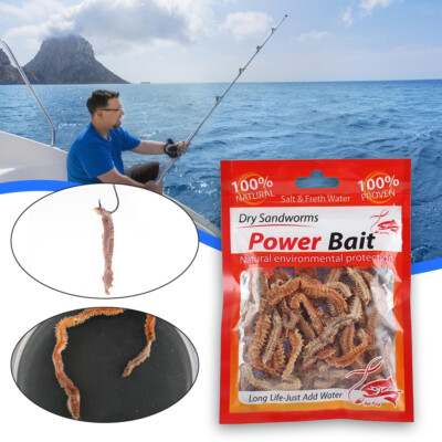 Trockene Sandwrmer Angelkder - Natrlicher Getrockneter Fischkder,  Tragbar Und Lange Haltbar Fr Outdoor Angeln Outdoor Angelzubehr