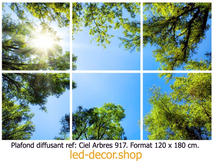 Plafond décoratif diffusant pour salon et bureau motif Ciel Arbres 917 dimensions 120x180