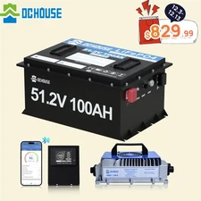 48V 100Ah LiFePO4 Golf Cart Battery Sturdy Metal Case Club Car with 18A Charger