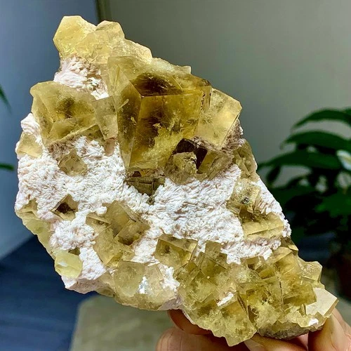 420G Natural transparent yellow phantom cubic fluorite crystal mineral